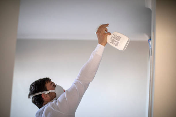 Crawl Space Mold Removal in Delft Colony, CA