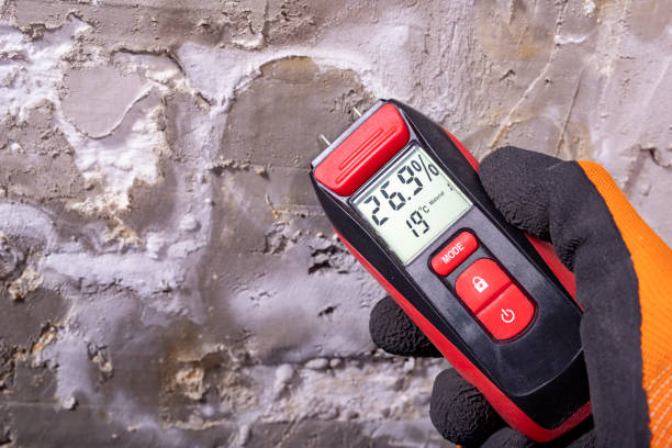 Best Professional Mold Removal  in Delft Colony, CA