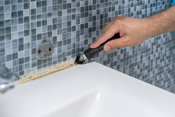  Delft Colony, CA Mold Removal Pros