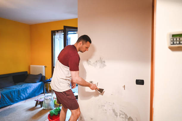 Best Mold Removal Company Near Me  in Delft Colony, CA